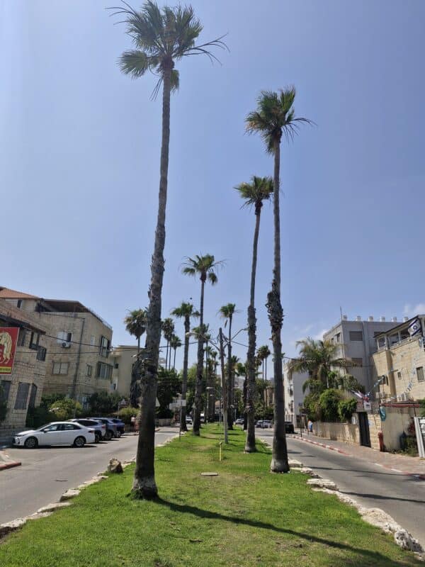 שדרה בבת בלים בחיפה